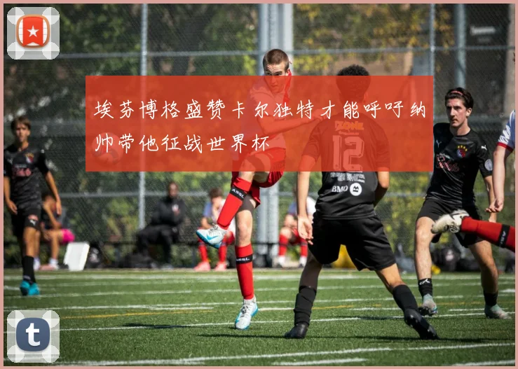 埃芬博格盛赞卡尔独特才能呼吁纳帅带他征战世界杯