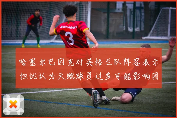 哈塞尔巴因克对英格兰队阵容表示担忧认为天赋球员过多可能影响团队合作