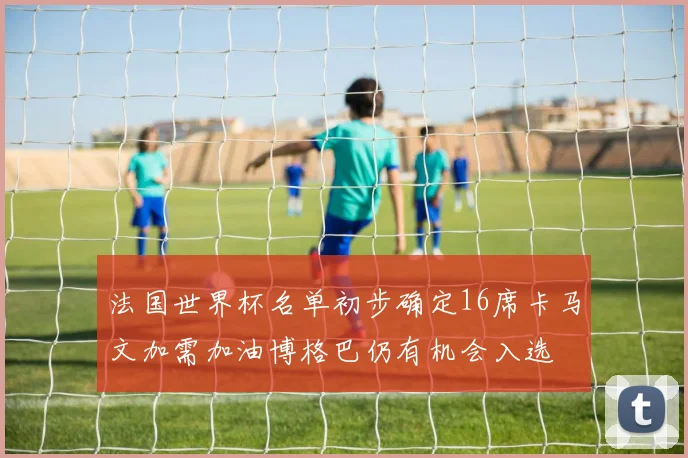 法国世界杯名单初步确定16席卡马文加需加油博格巴仍有机会入选